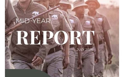 Tracker Academy – 2025 Mid-Year Report